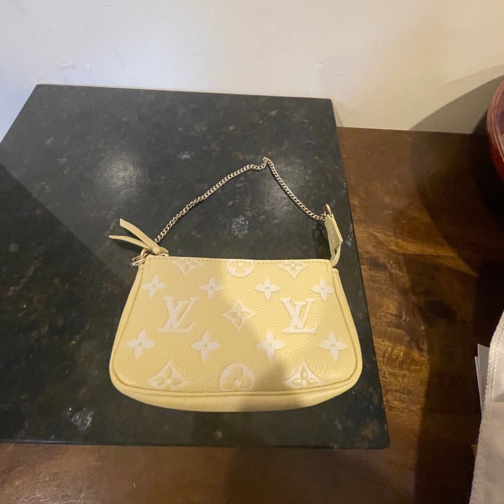NWT LOUIS VUITTON MINI PONCHETTR